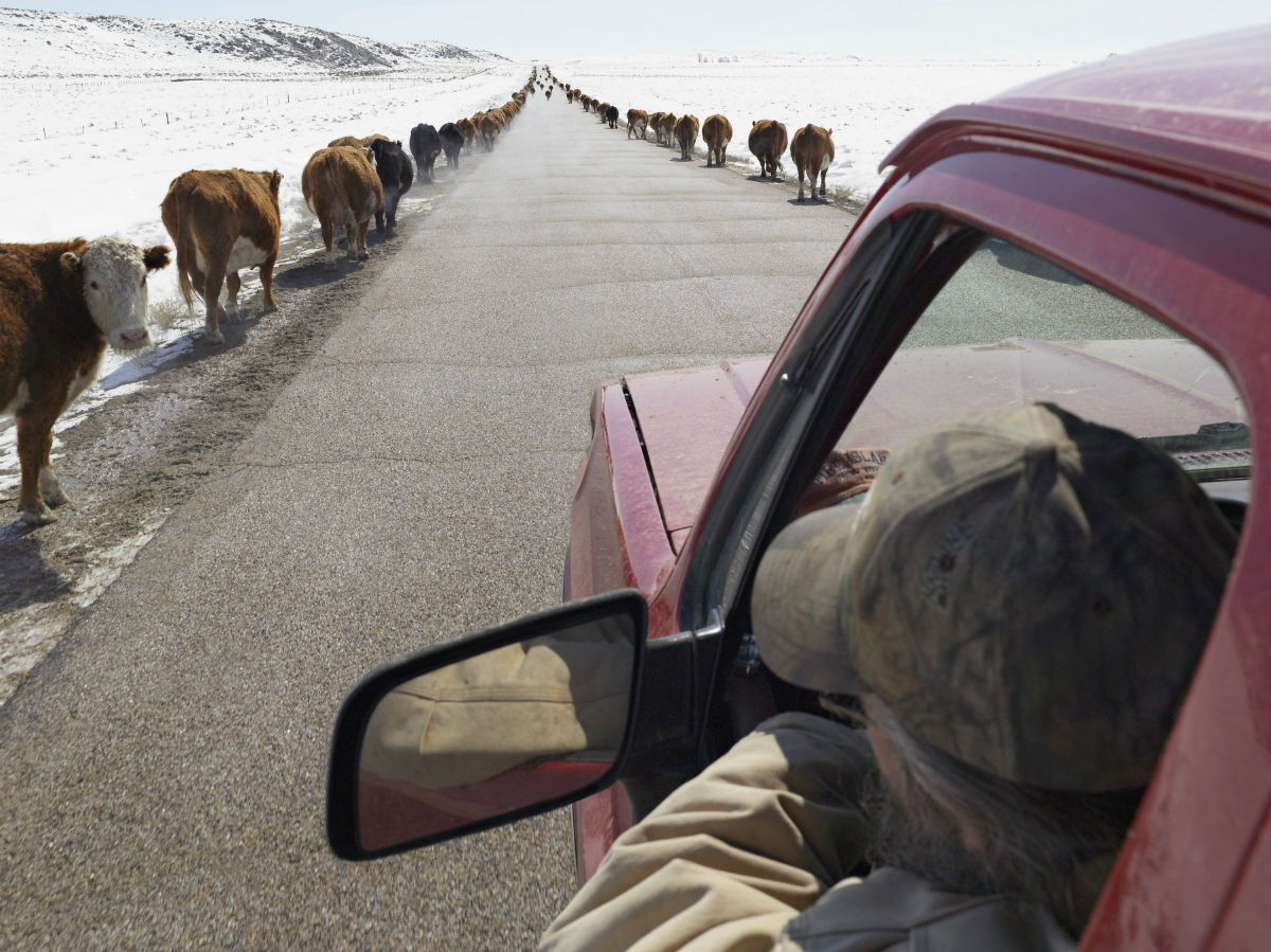 “There are still more cows than people in rural Nevada. And the areas I photographed between 2006 and 2013 in Nevada, Texas, Wyoming, Idaho, New Mexico and Montana are some of the least populated regions in the United States.”